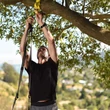 Kép 3/3 - TRX Felfüggesztő heveder karabinerrel 96cm sárga