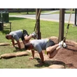 Kép 6/8 - TRX TACTICAL GYM | Edzőkötél/heveder Katonai/PRO verzió + TRX FORCE Super APP