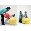 Kép 2/4 - Gymnic® Fizio-Roll duplalabda fiziohenger